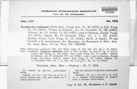 Image Associated With the Occurence
